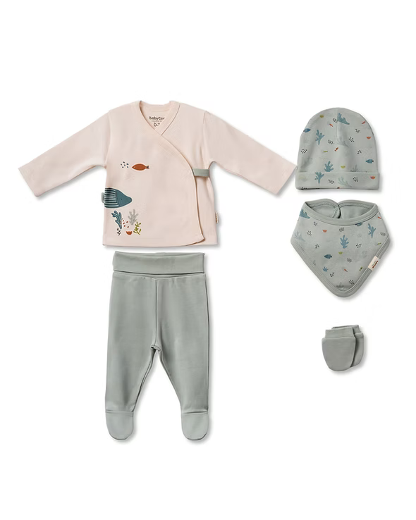 CSY8216 5 PCS SET MINT