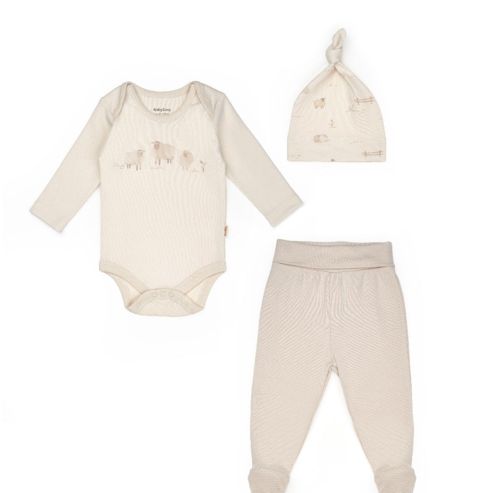 CSY8188-3 PCS SET